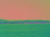 IMGP2748 edited (Medium)